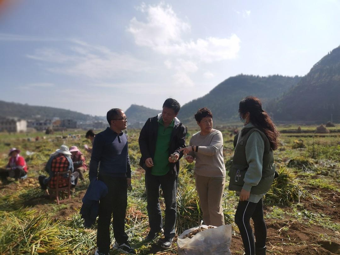 4569668a-d5ef-41da-83e8-a1cc420cabde.jpg 4569668a-d5ef-41da-83e8-a1cc420cabde.jpg